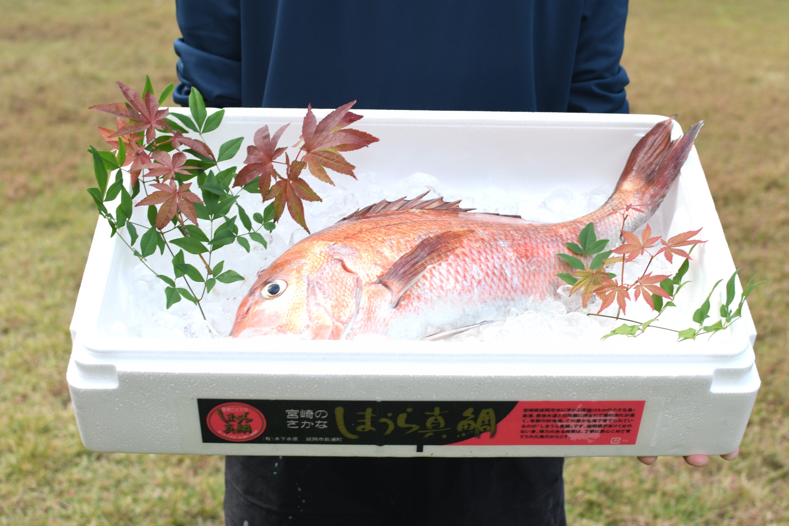 ニュース画像
